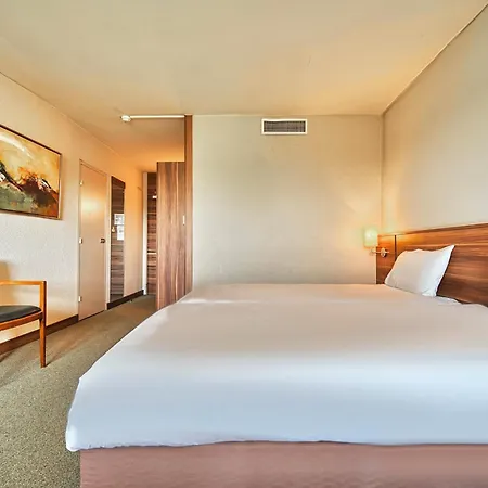 Kyriad Prestige Mulhouse - Basel Sausheim