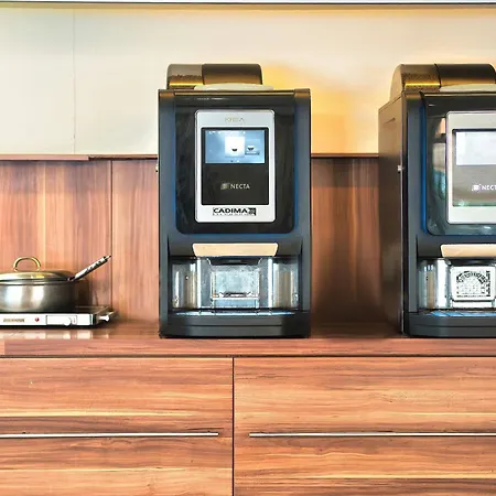 Kyriad Prestige Mulhouse - Basel 4* Sausheim