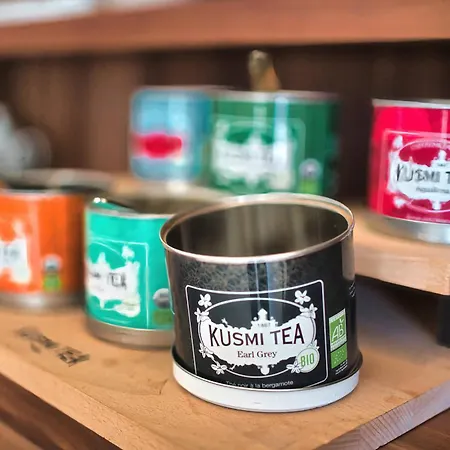 Kyriad Prestige Mulhouse - Basel Sausheim