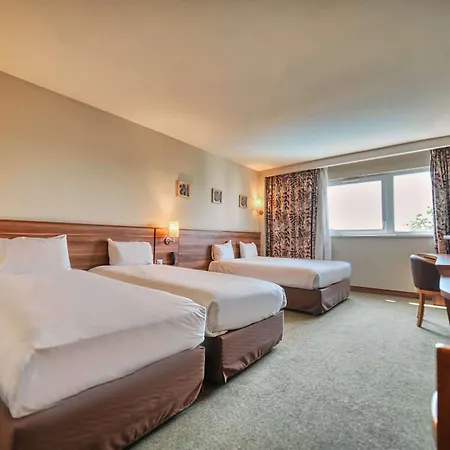 Otel Kyriad Prestige Mulhouse - Basel 4*